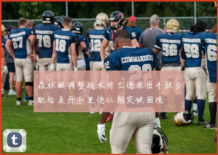 森林狼调整战术将兰德尔出手权分配给麦丹和里德以期突破困境